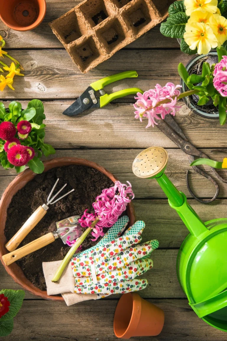 Essential gardening tools in Pakistan for balcony, rooftop, and backyard gardening