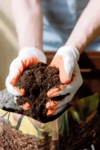 Best fertilizers and soil mixes for home gardening in Pakistan