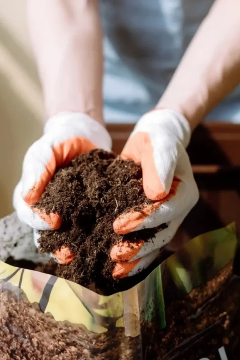 Best fertilizers and soil mixes for home gardening in Pakistan