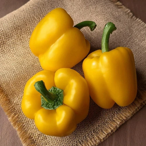 Premium Yellow Capsicum Seeds for home garden in Pakistan