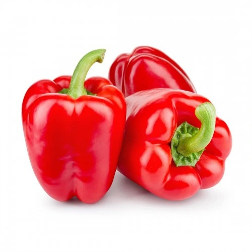 Fresh Red Capsicum grown from seeds in Pakistan – SeedBeej.pk