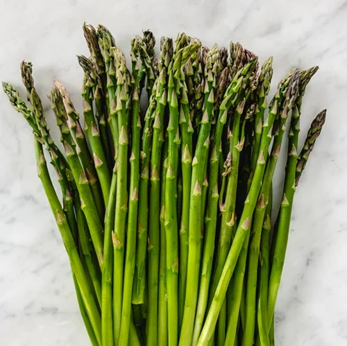 Fresh asparagus seeds for home gardening in Pakistan – SeedBeej.pk