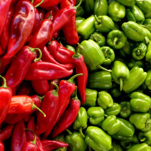 Red hot USA chilli peppers grown from premium seeds
