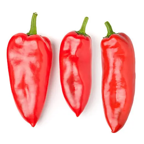 USA Chilli Seeds for home gardening in Pakistan