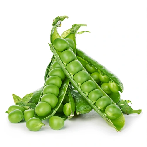 Pea plants with pods in Pakistan winter garden" Would you like me to create the next one for “Sugar Snap Pea Seeds” or “Snow Pea Seeds” in the same professional SEO style
