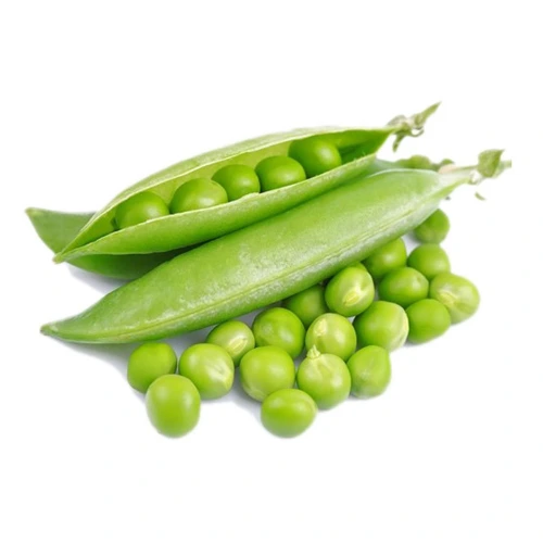 Fresh green pea pods grown from SeedBeej.pk high-quality pea seeds