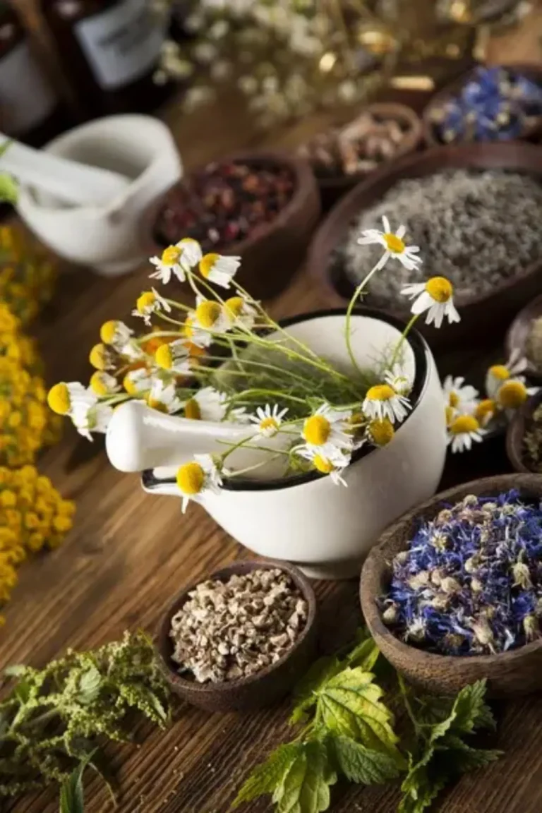 Flowers and Medicinal Plants in Pakistan – Home Gardening Guide