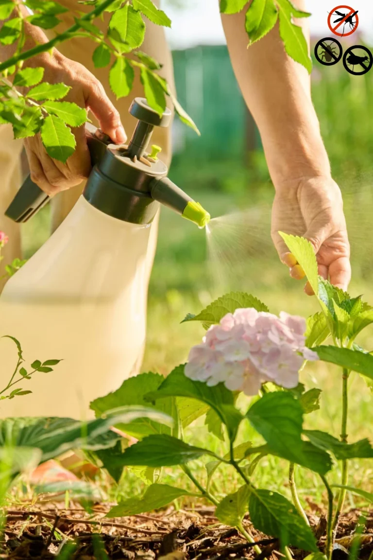 Best Natural Pest Control in Pakistan: Friendly Ways to Protect Your Garden buy online in Pakistan at seed beej https://seedbeej.pk/product-category/pest-termite-control/organic-pesticides/
