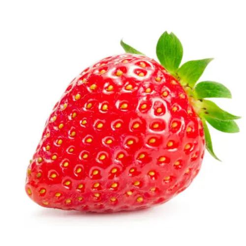 Fresh strawberry roots crowns ready for planting – SeedBeej.pk