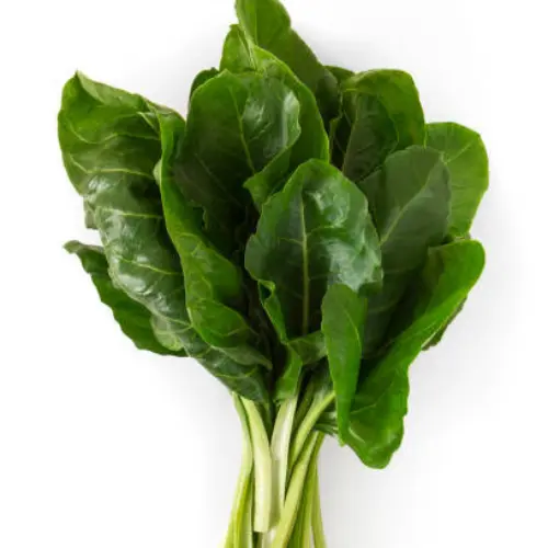 Swiss Chard seedlings – fresh leafy vegetable plants for home gardens