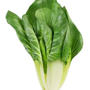 51 (2) Swiss Chard Plant