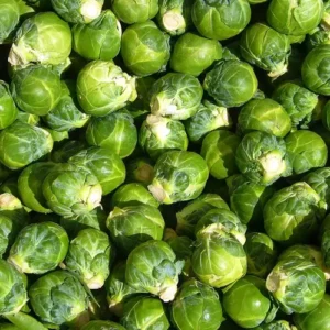 Brussels sprouts Brussels sprouts in Pakistan Brussels sprouts benefites