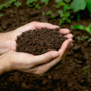 Humic Acid 1KG Granules