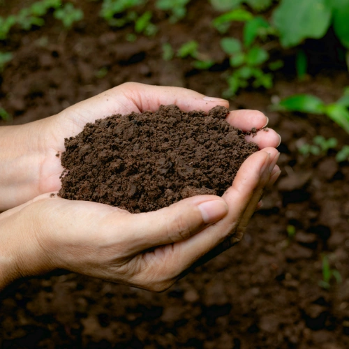 Humic Acid 1KG Granules