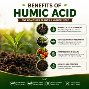 Humic Acid 1KG Granules