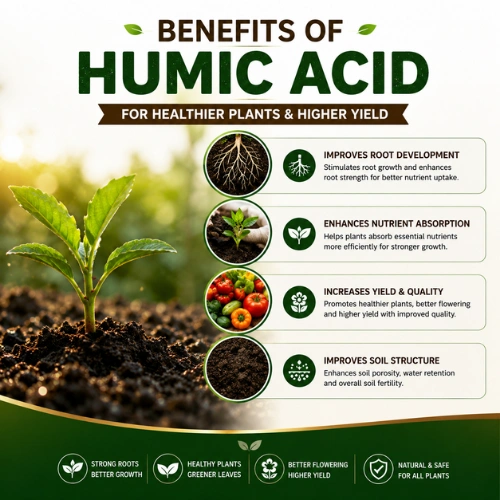 Humic Acid 1KG Granules