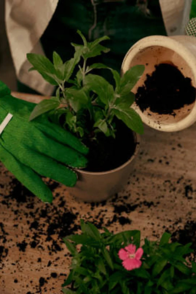 Best Powerful Soil And Compost Tips to Prevent Plant Pests and Diseases Naturally buy online in Pakistan at seed beej Soil and compost tips for natural pest and disease control in plants