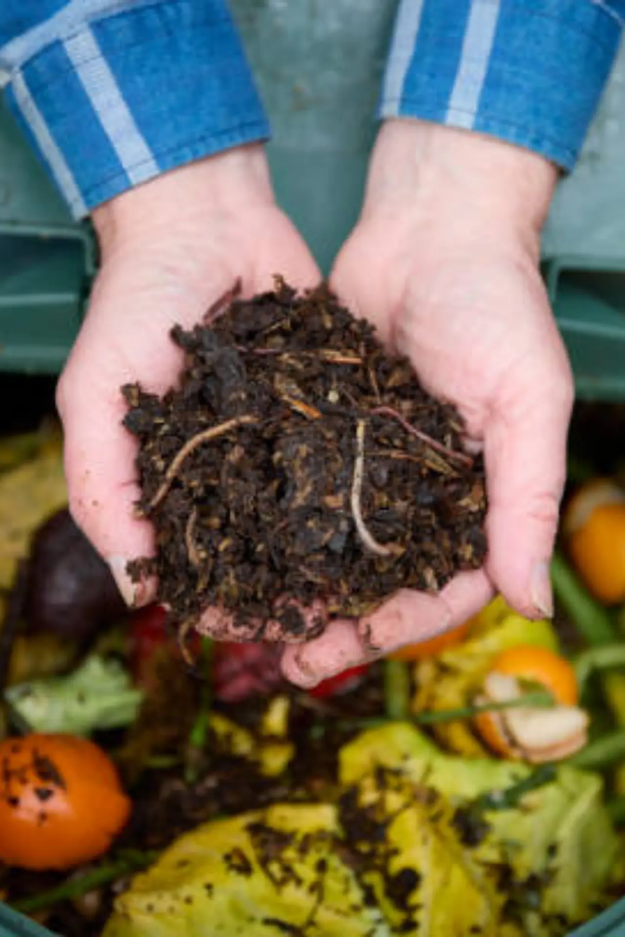 Composting at home in Pakistan using kitchen and garden waste