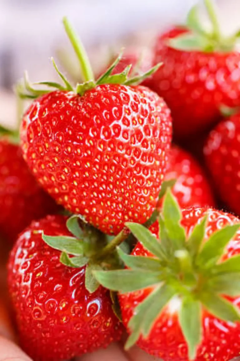 Best Easy & Proven Guide to Growing Strawberry Roots at Home buy online in Pakistan at seed beej Strawberry roots growing in pots at home in Pakistan
