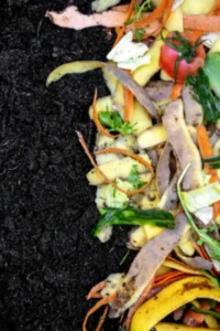 Composting at home in Pakistan using kitchen and garden waste