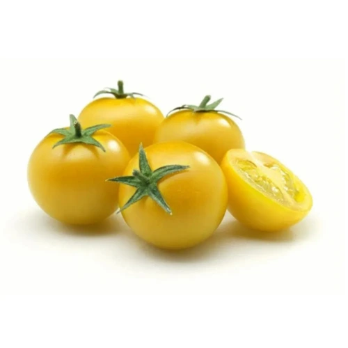 Yellow Cherry Tomato Seedling Hybrid F1 – Golden Cherry Tomato Plant for Home Gardening (پنیری)
