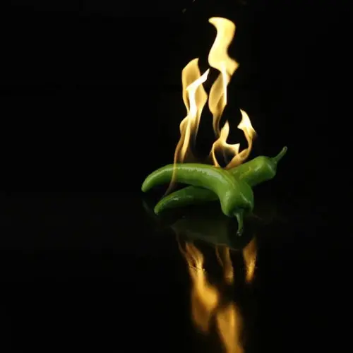 Extra Hot Long Red Chili Seeds for Home Gardening