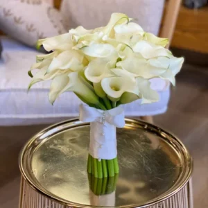 White Calla Lily Bulb