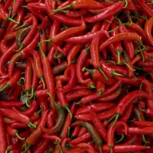 Thai Long Red Hot Chilli Seeds