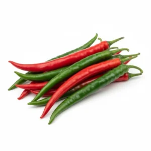 Indian Long Desi Mirch plant with fiery red chillies