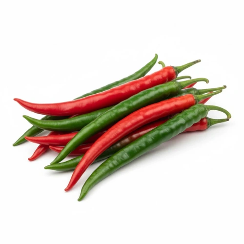 Indian Long Desi Mirch plant with fiery red chillies