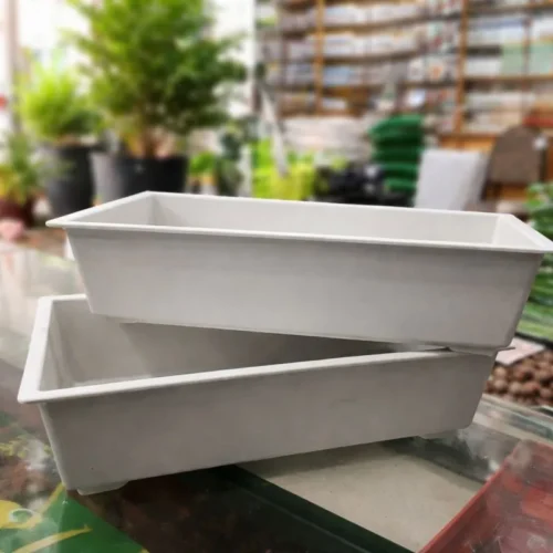 bonsai plastic pots in Pakistan for indoor and outdoor bonsai plants