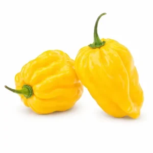 habanero Yellow hot chilli pepper seeds exotic variety