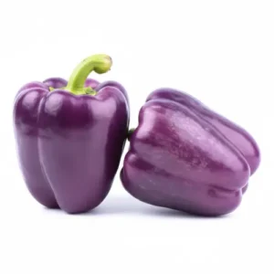 purple capsicum seeds bell pepper vegetable seeds