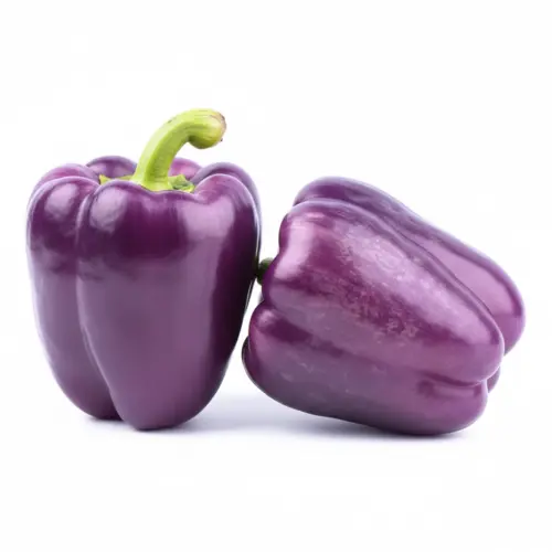 purple capsicum seeds bell pepper vegetable seeds