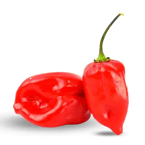 habanero red hot chilli seeds extreme heat variety