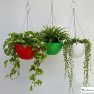 Best hanging Planters in Pakistan at best prices