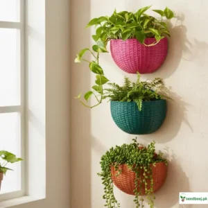 wall hanging baskets wall hanging pot