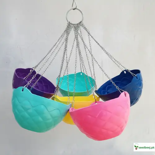 Buy hanging chain baskets in Pakistan