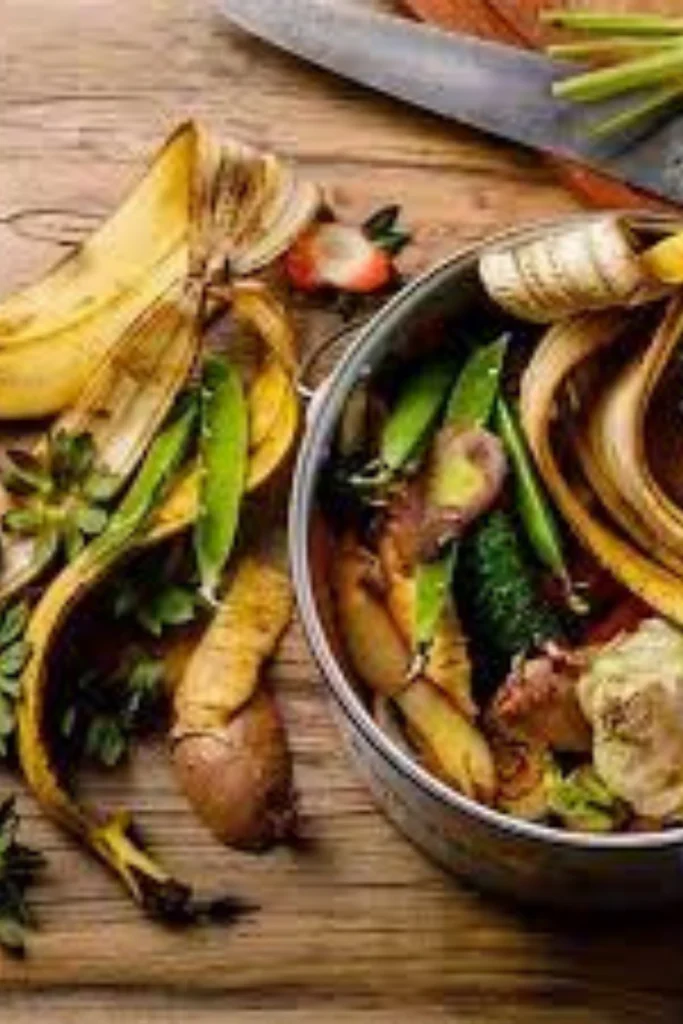 Best Ultimate Guide to Homemade Fertilizers β DIY Organic Solutions for Pakistani Gardeners buy online in Pakistan at seed beej homemade fertilizers for home gardens