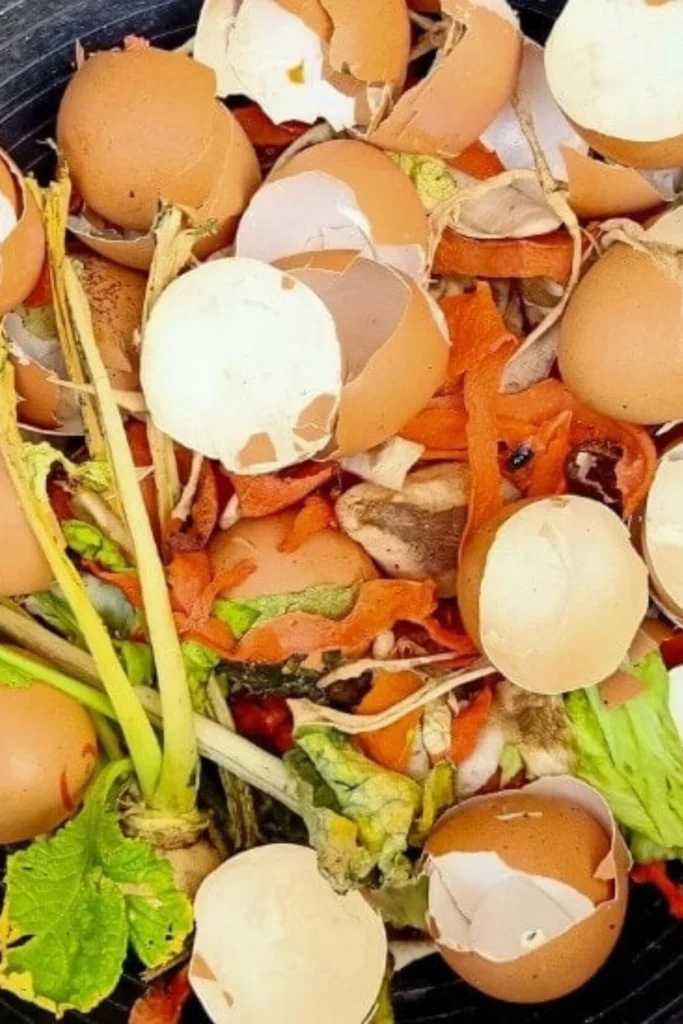 Best Ultimate Guide to Homemade Fertilizers β DIY Organic Solutions for Pakistani Gardeners buy online in Pakistan at seed beej 32 7 1 now buy online in Pakistan at seed beej