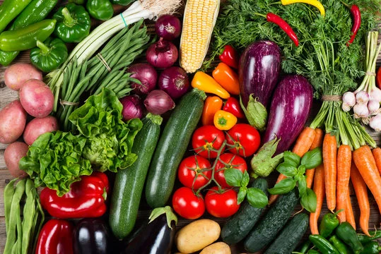 summer vegetable seedlings in Pakistan