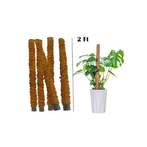 High-quality Coco Coir Stick for plant support – perfect for climbing and indoor plants in Pakistan High-quality Coco Coir Stick for plant support – perfect for climbing and indoor plants in Pakistan