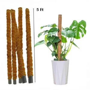 High-quality Coco Coir Stick for plant support – perfect for climbing and indoor plants in Pakistan High-quality Coco Coir Stick for plant support – perfect for climbing and indoor plants in Pakistan