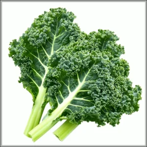 Fresh Curly Kale Seedlings for Planting – Healthy Green Kale Fresh Curly Kale Seedlings for Planting – Healthy Green Kale