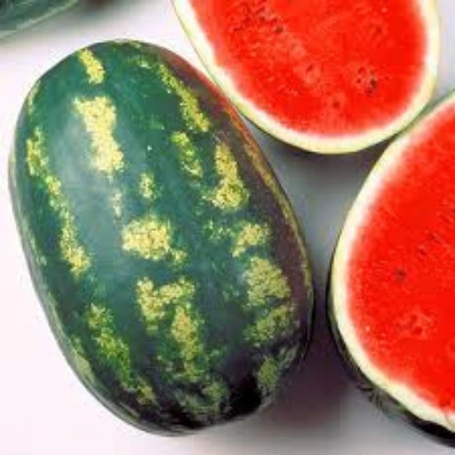 Sentinel watermelon seeds F1 hybrid for high yield sweet red fruit farming in Pakistan Sentinel watermelon seeds F1 hybrid for high yield sweet red fruit farming in Pakistan