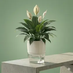 Low Maintenance Plants