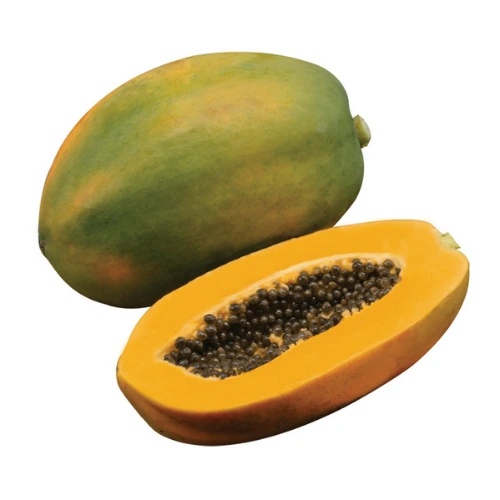 Sinta F1 hybrid papaya seeds for high yield sweet yellow fruit farming in Pakistan