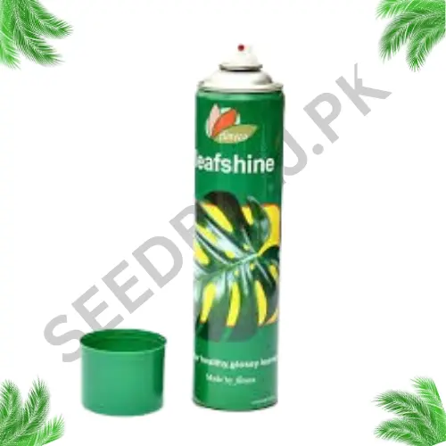 Floreca Leaf Shine Spray 600ml for indoor plants providing glossy, dust-free, and healthy green leaves