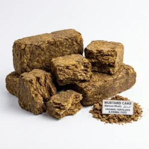 Mustard cake fertilizer sarson ki khali organic plant food in Pakistan