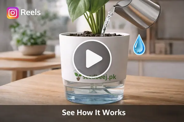 ChatGPT Image Apr 1 2026 08 11 21 PM now buy online in Pakistan at seed beej